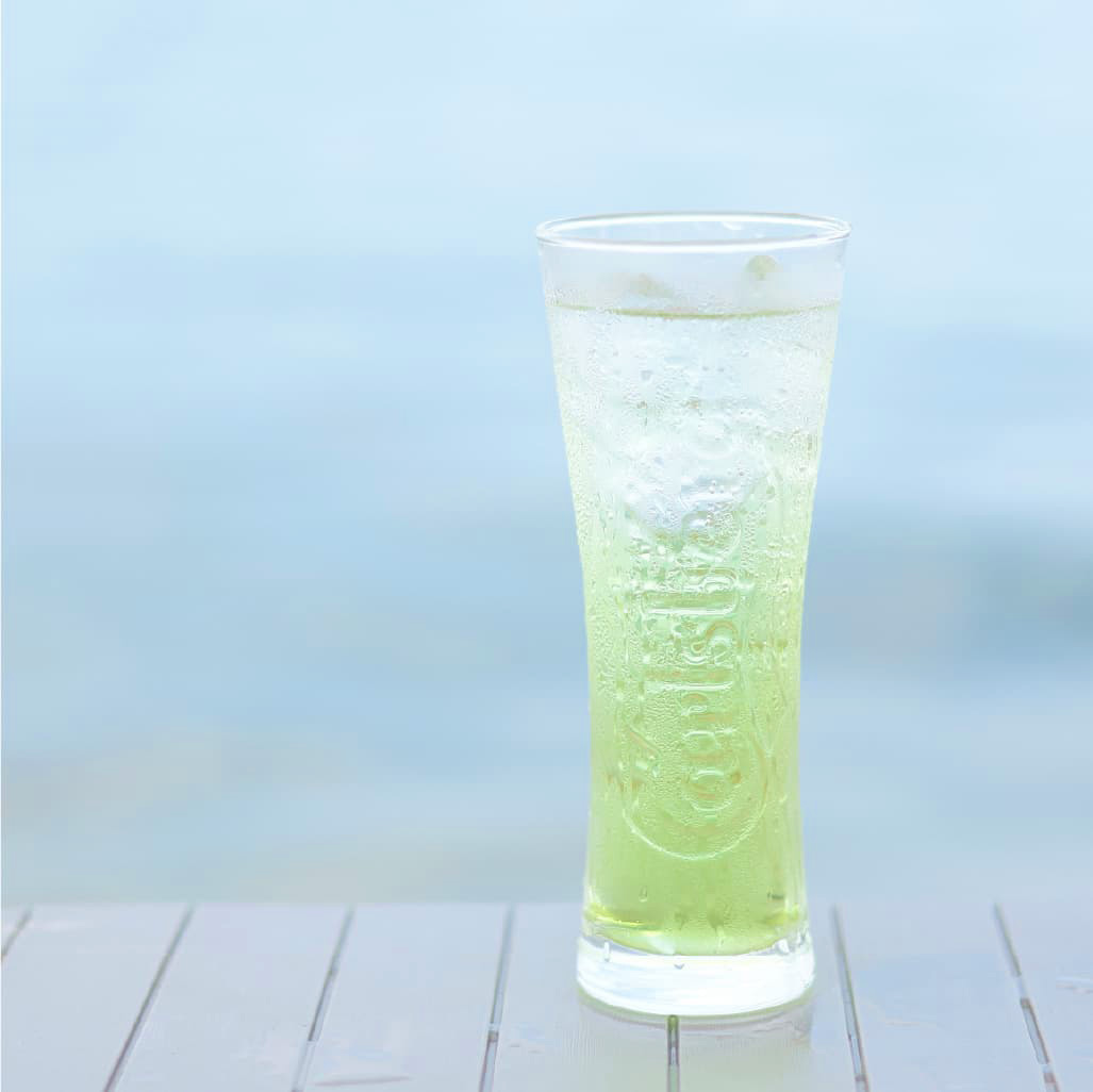 ドッグラン